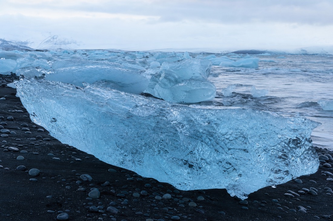 Large dense blue icebergs stranded on black sand at Diamond Beach in Iceland under low winter light