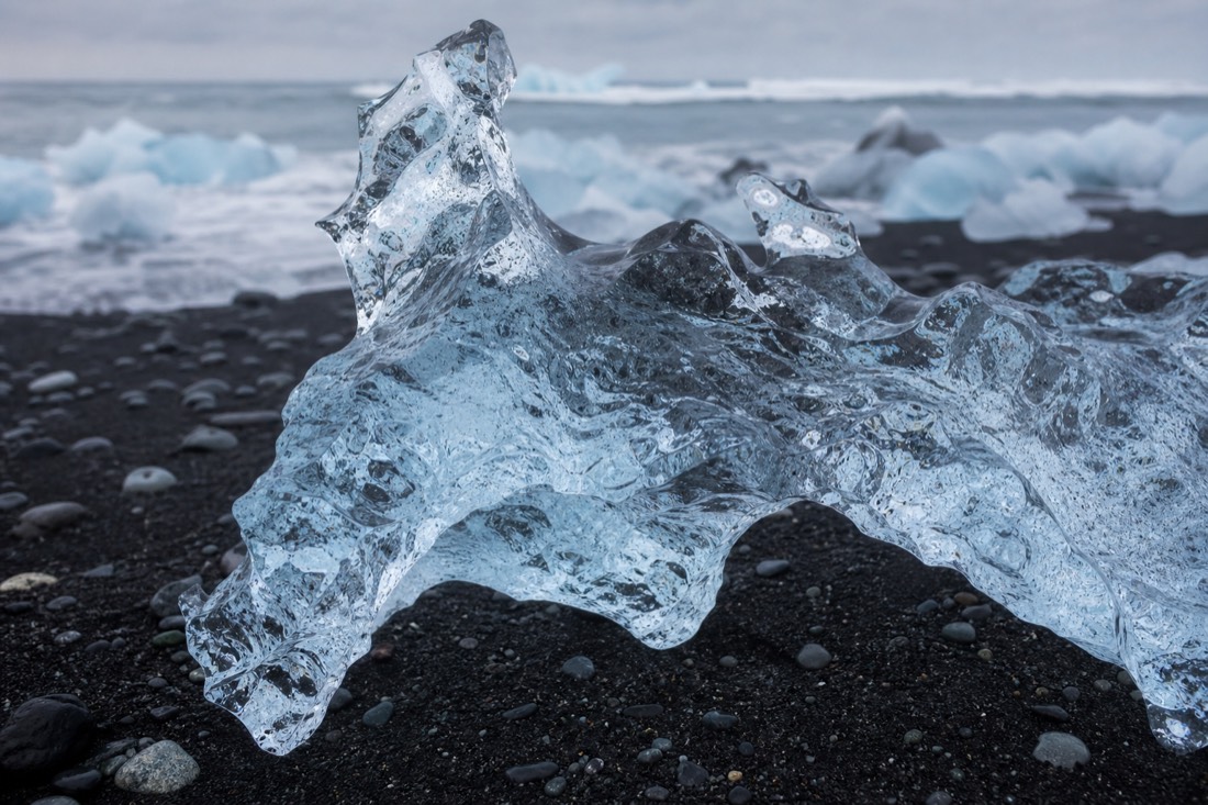 Close-up of clear and blue glacier ice glowing on the wet black sand of Diamond Beach, Iceland